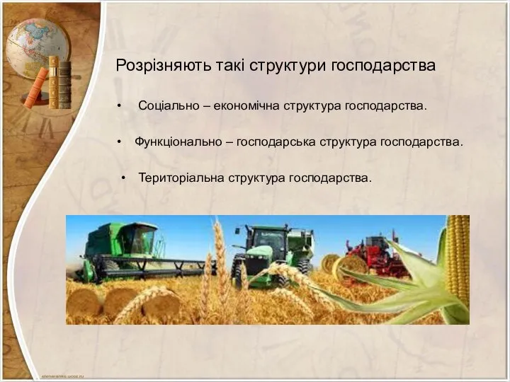 Розрізняють такі структури господарства Соціально – економічна структура господарства. Функціонально –