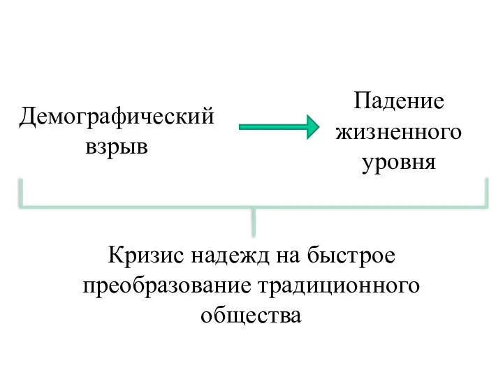 Демографический взрыв Падение жизненного уровня Кризис надежд на быстрое преобразование традиционного общества