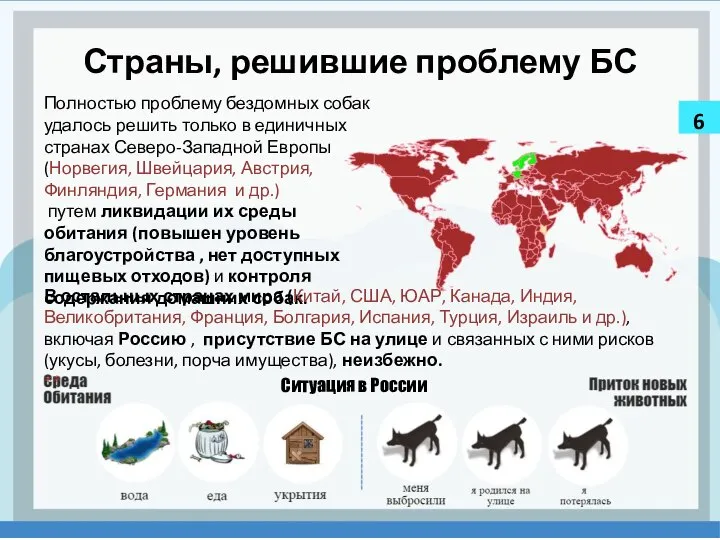 Страны, решившие проблему БС Полностью проблему бездомных собак удалось решить только