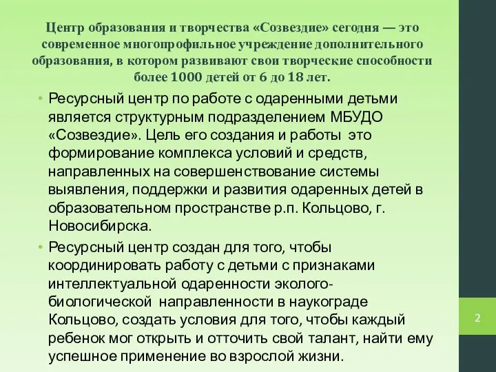 Центр образования и творчества «Созвездие» сегодня — это современное многопрофильное учреждение