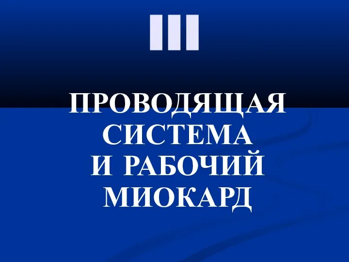 III ПРОВОДЯЩАЯ СИСТЕМА И РАБОЧИЙ МИОКАРД