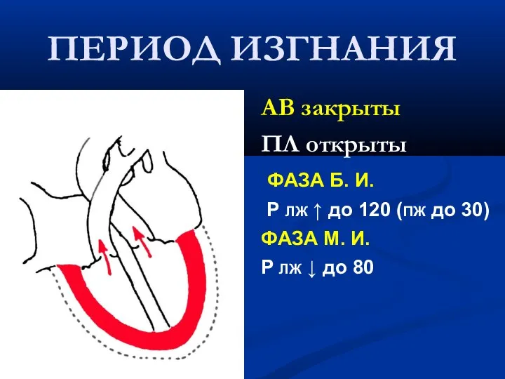 ПЕРИОД ИЗГНАНИЯ АВ закрыты ПЛ открыты ФАЗА Б. И. Р ЛЖ