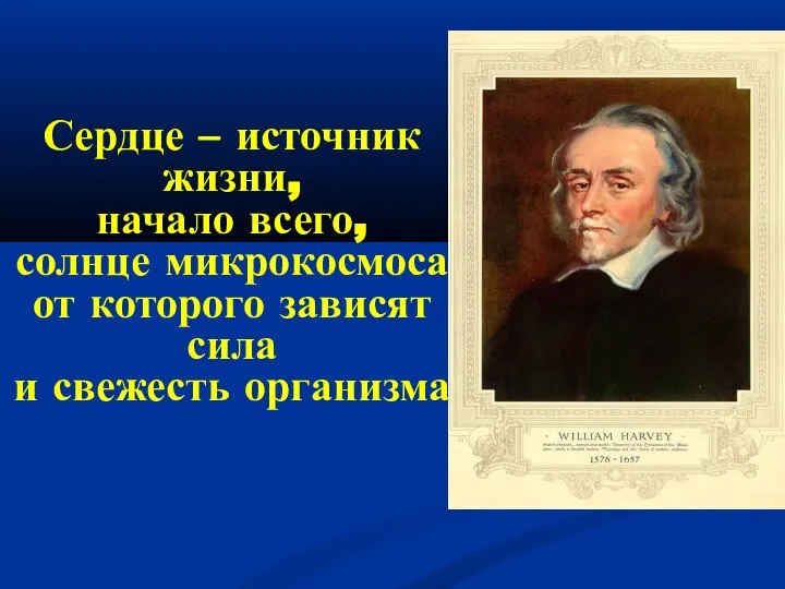 Сердце – источник жизни, начало всего, солнце микрокосмоса, от которого зависят сила и свежесть организма