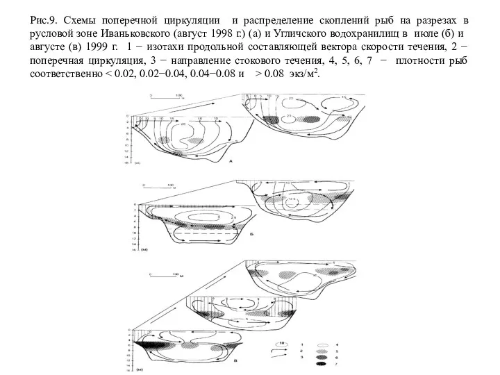 Рис.9. Схемы поперечной циркуляции и распределение скоплений рыб на разрезах в