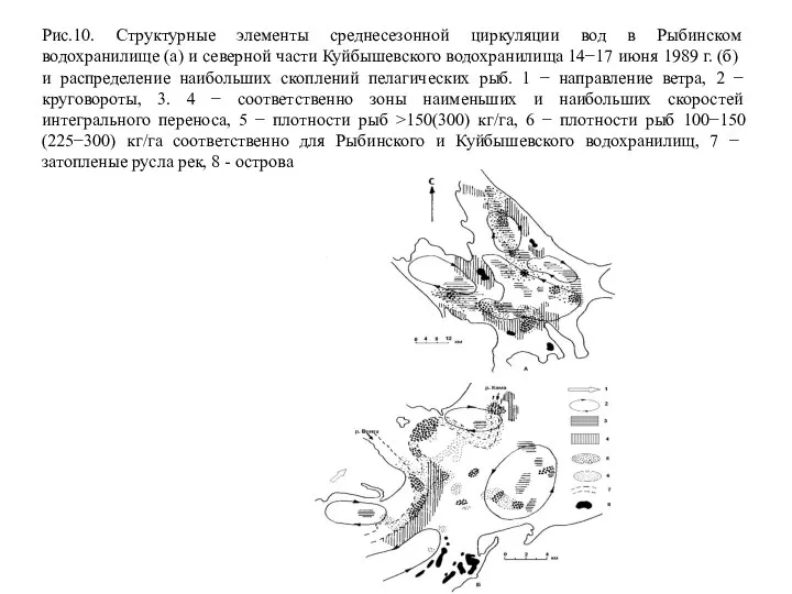 Рис.10. Структурные элементы среднесезонной циркуляции вод в Рыбинском водохранилище (а) и