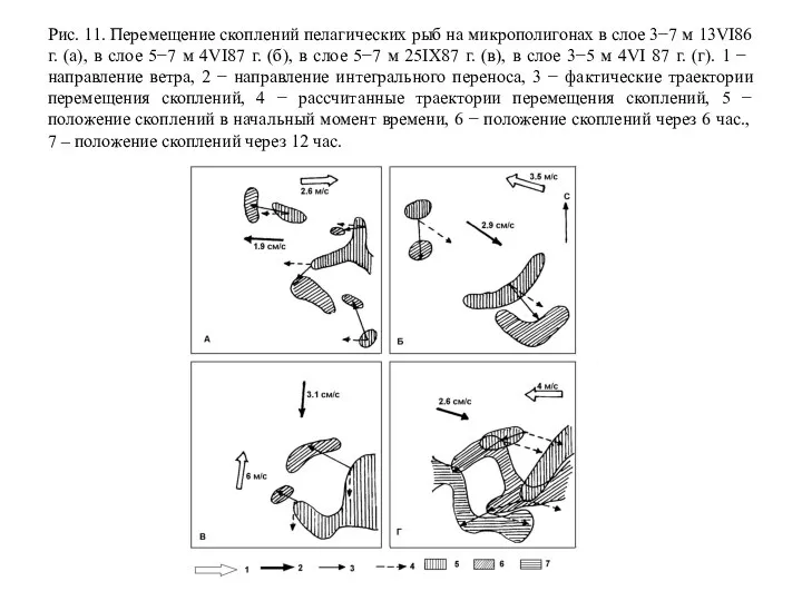 Рис. 11. Перемещение скоплений пелагических рыб на микрополигонах в слое 3−7