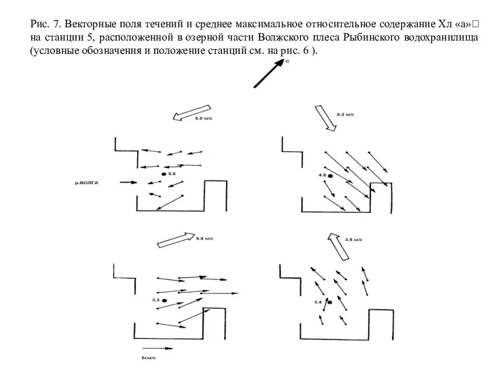 Рис. 7. Векторные поля течений и среднее максимальное относительное содержание Хл