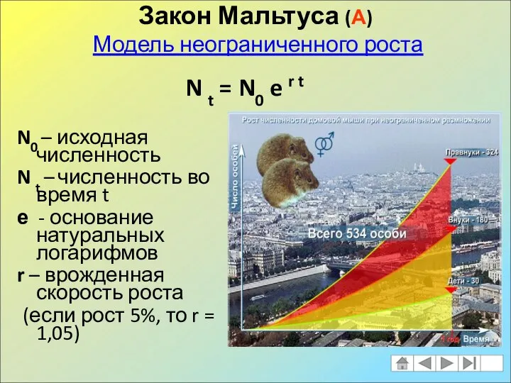 Закон Мальтуса (А) Модель неограниченного роста N0 – исходная численность N