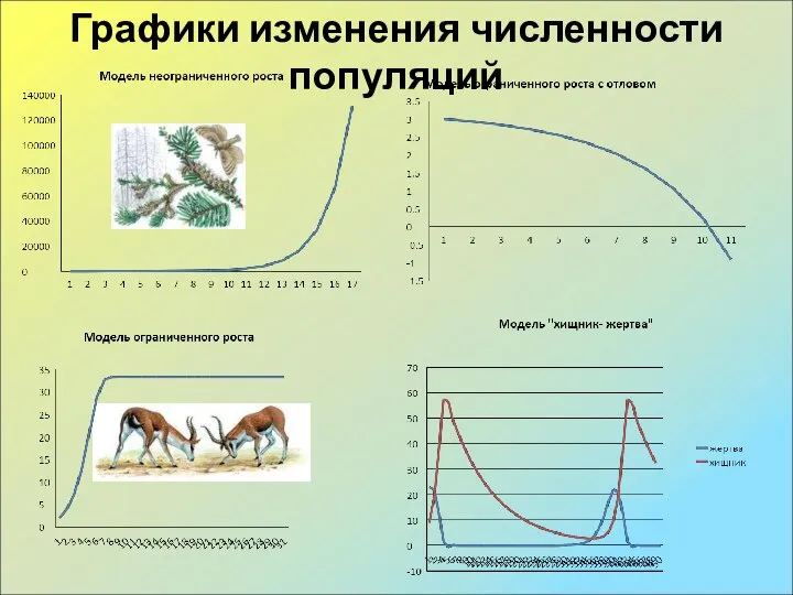 Графики изменения численности популяций