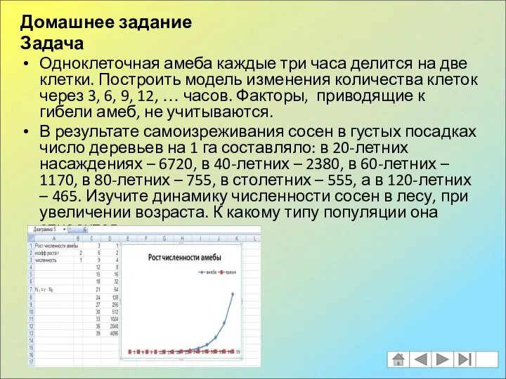 Домашнее задание Задача Одноклеточная амеба каждые три часа делится на две
