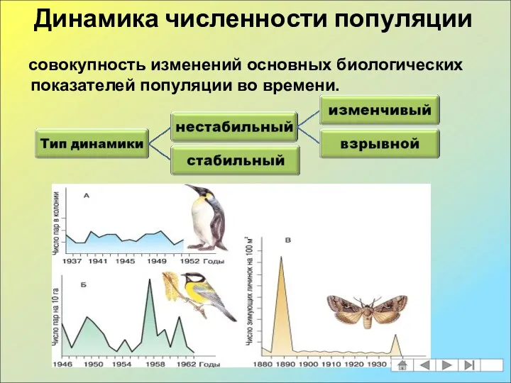 совокупность изменений основных биологических показателей популяции во времени. Динамика численности популяции