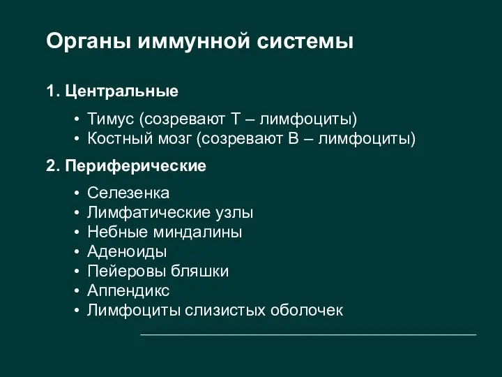 Органы иммунной системы 1. Центральные Тимус (созревают Т – лимфоциты) Костный