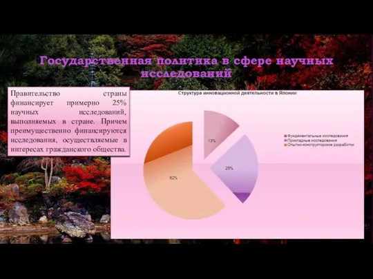 Государственная политика в сфере научных исследований Правительство страны финансирует примерно 25%