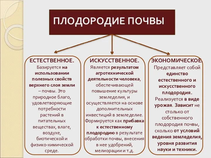 ПЛОДОРОДИЕ ПОЧВЫ ЕСТЕСТВЕННОЕ. Базируется на использовании полезных свойств верхнего слоя земли