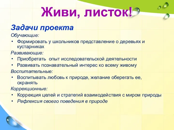 Живи, листок! Задачи проекта Обучающие: Формировать у школьников представление о деревьях