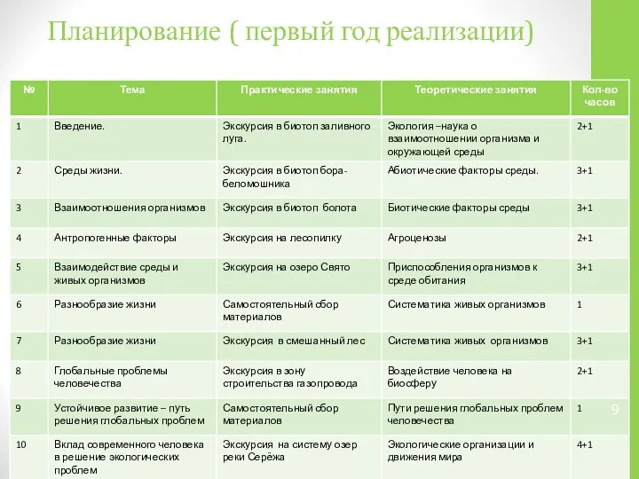 Планирование ( первый год реализации)