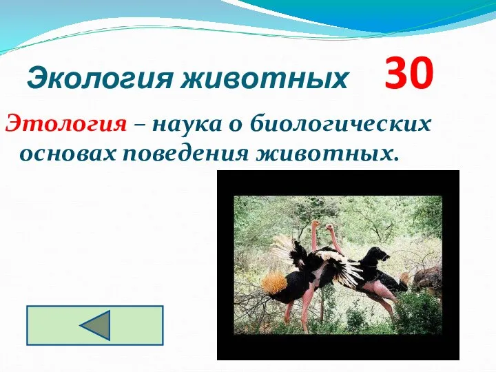 Экология животных 30 Этология – наука о биологических основах поведения животных.