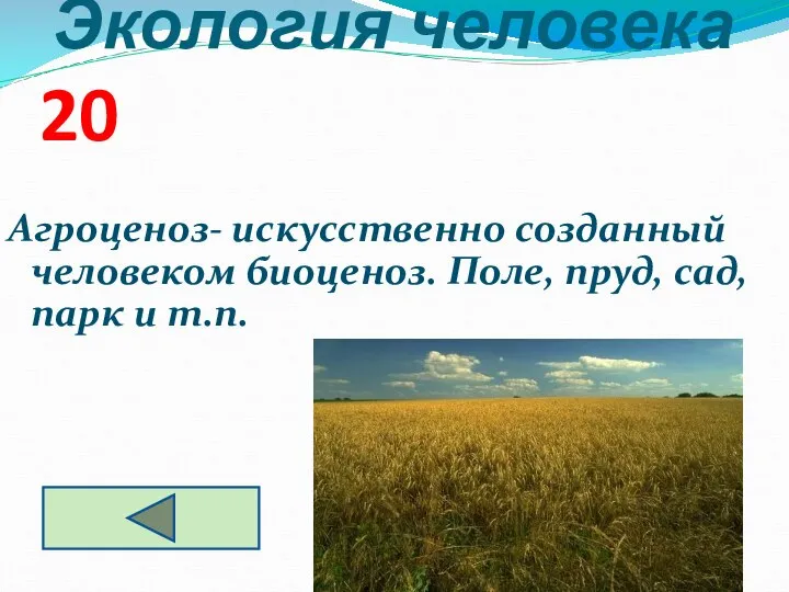 Экология человека 20 Агроценоз- искусственно созданный человеком биоценоз. Поле, пруд, сад, парк и т.п.