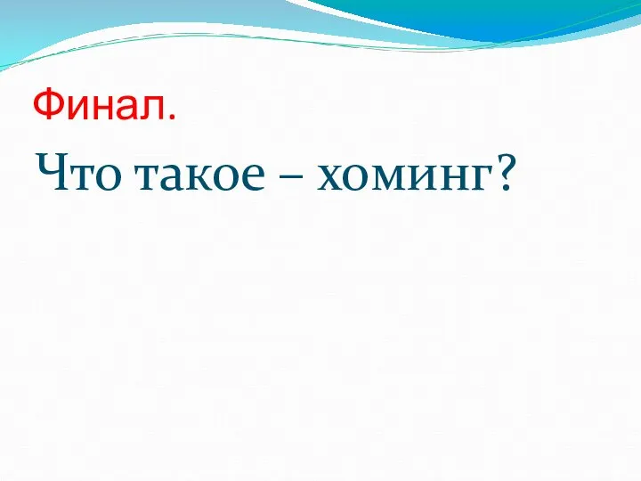 Финал. Что такое – хоминг?