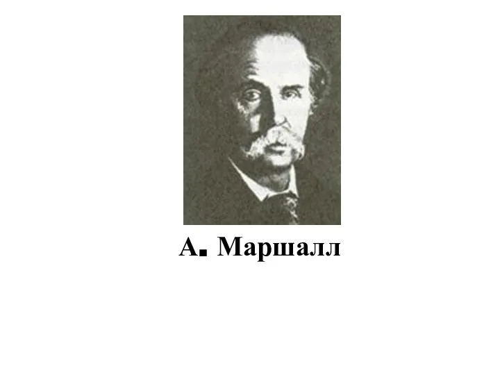 А. Маршалл