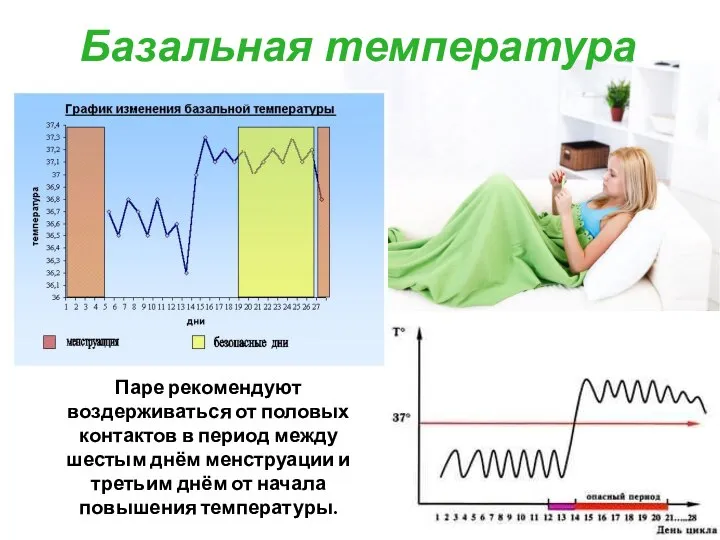 Базальная температура Паре рекомендуют воздерживаться от половых контактов в период между