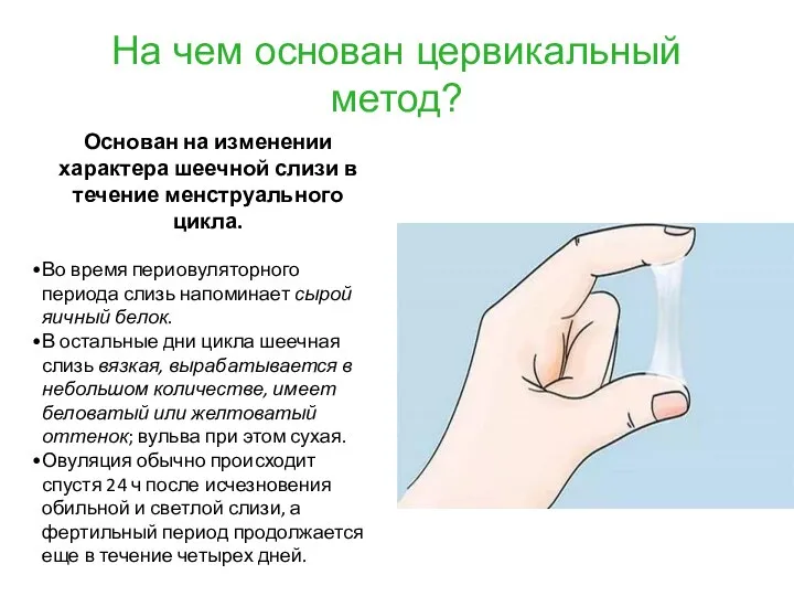 На чем основан цервикальный метод? Основан на изменении характера шеечной слизи