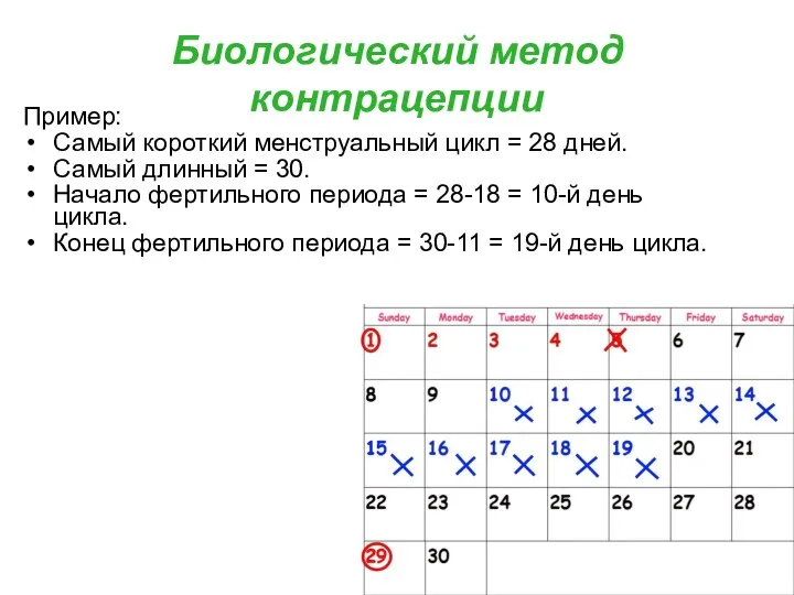 Биологический метод контрацепции Пример: Самый короткий менструальный цикл = 28 дней.