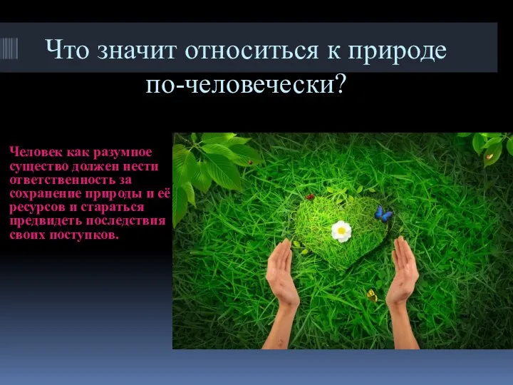 Что значит относиться к природе по-человечески? Человек как разумное существо должен