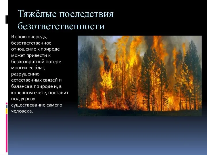 Тяжёлые последствия безответственности В свою очередь, безответственное отношение к природе может