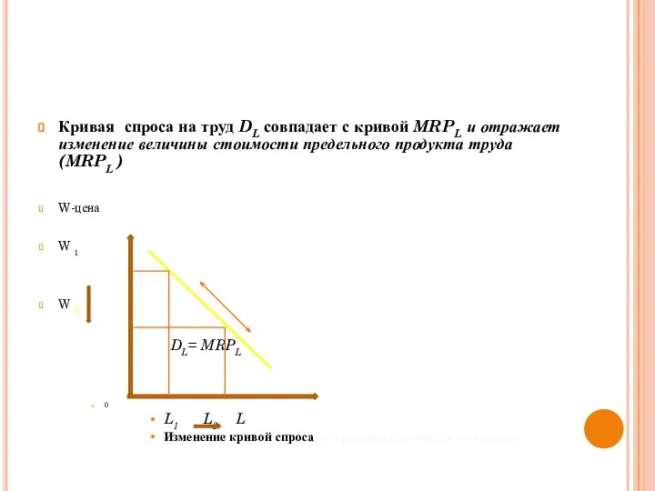 Кривая спроса на труд DL совпадает с кривой MRPL и отражает