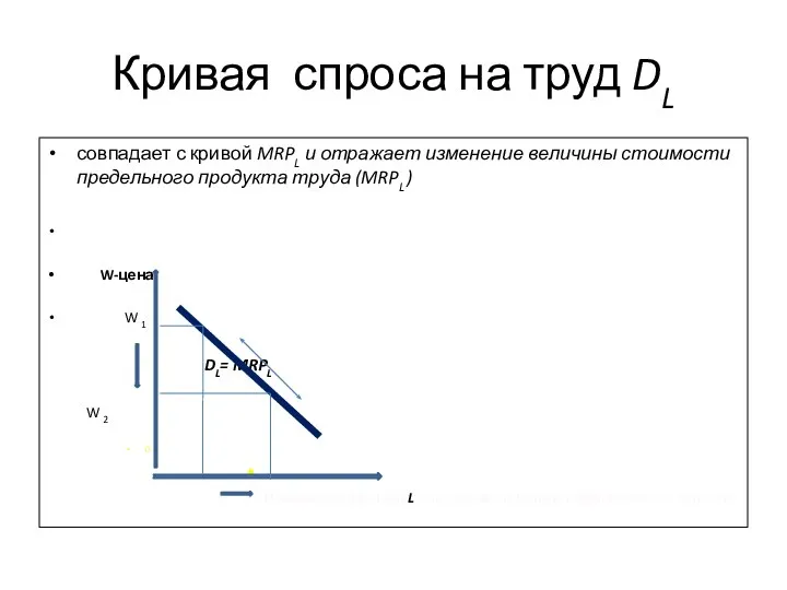 Кривая спроса на труд DL совпадает с кривой MRPL и отражает