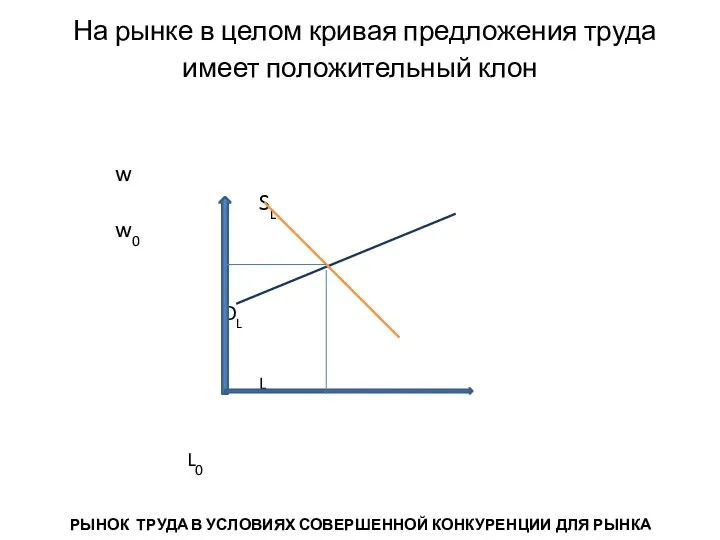 На рынке в целом кривая предложения труда имеет положительный клон w