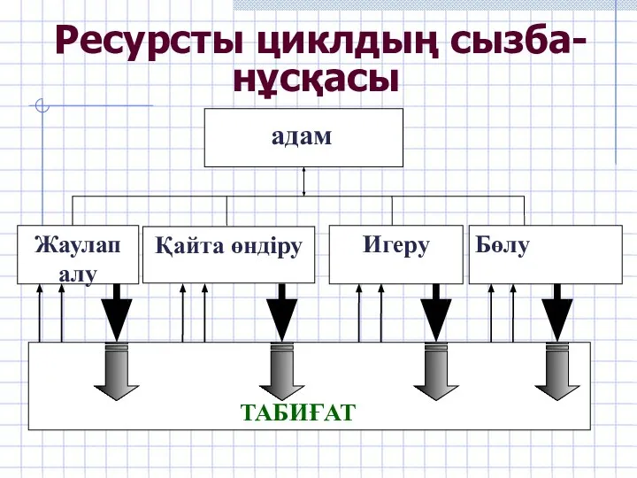 Ресурсты циклдың сызба-нұсқасы