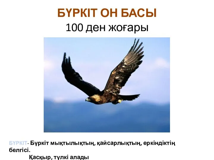 БҮРКІТ ОН БАСЫ 100 ден жоғары БҮРКІТ- Бүркіт мықтылықтың, қайсарлықтың, еркіндіктің белгісі. Қасқыр, түлкі алады