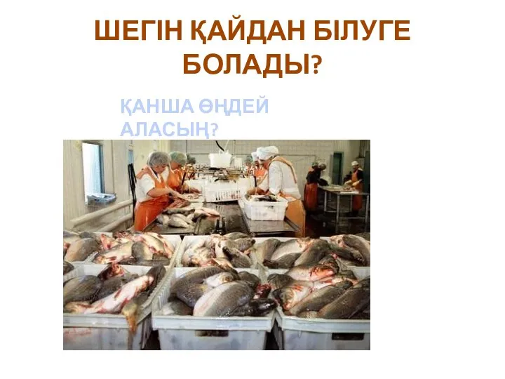 ШЕГІН ҚАЙДАН БІЛУГЕ БОЛАДЫ? ҚАНША ӨҢДЕЙ АЛАСЫҢ?