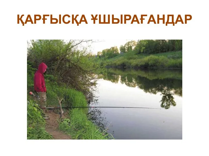 ҚАРҒЫСҚА ҰШЫРАҒАНДАР