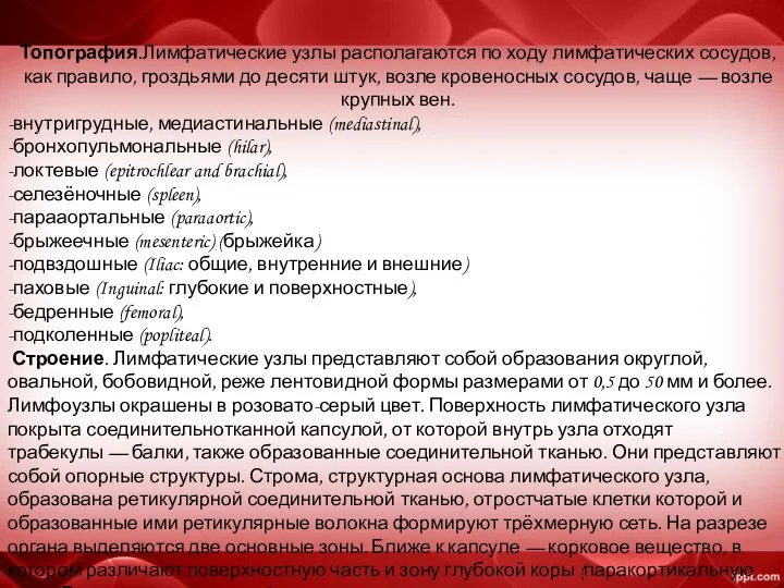 Топография.Лимфатические узлы располагаются по ходу лимфатических сосудов, как правило, гроздьями до