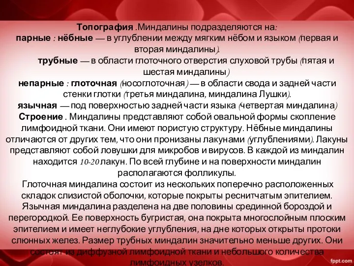 Топография .Миндалины подразделяются на: парные : нёбные — в углублении между