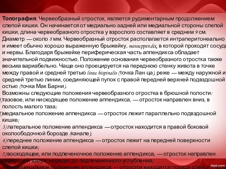 Топография. Червеобразный отросток, является рудиментарным продолжением слепой кишки. Он начинается от