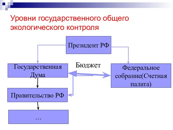 Уровни государственного общего экологического контроля Государственная Дума Президент РФ Федеральное собрание(Счетная палата) Правительство РФ … Бюджет