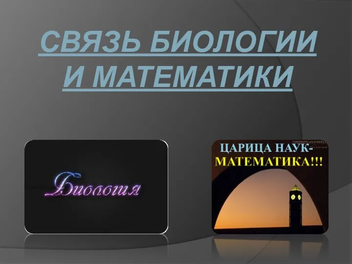 СВЯЗЬ БИОЛОГИИ И МАТЕМАТИКИ