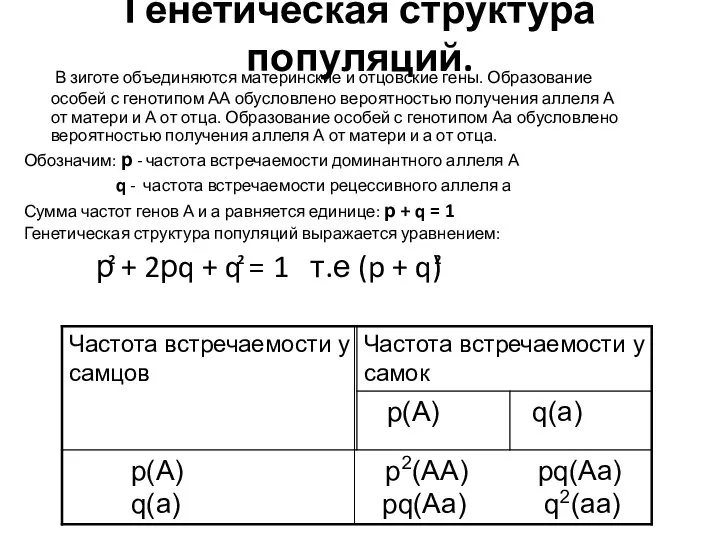 Генетическая структура популяций. В зиготе объединяются материнские и отцовские гены. Образование