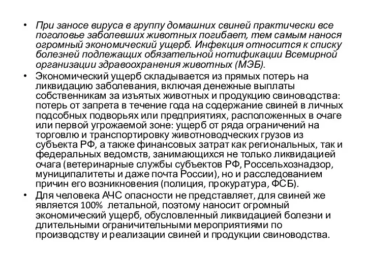 При заносе вируса в группу домашних свиней практически все поголовье заболевших