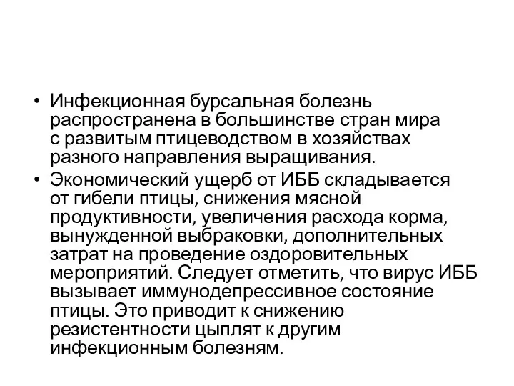 Инфекционная бурсальная болезнь распространена в большинстве стран мира с развитым птицеводством