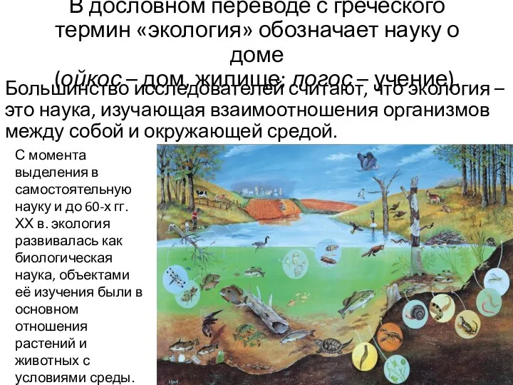 В дословном переводе с греческого термин «экология» обозначает науку о доме