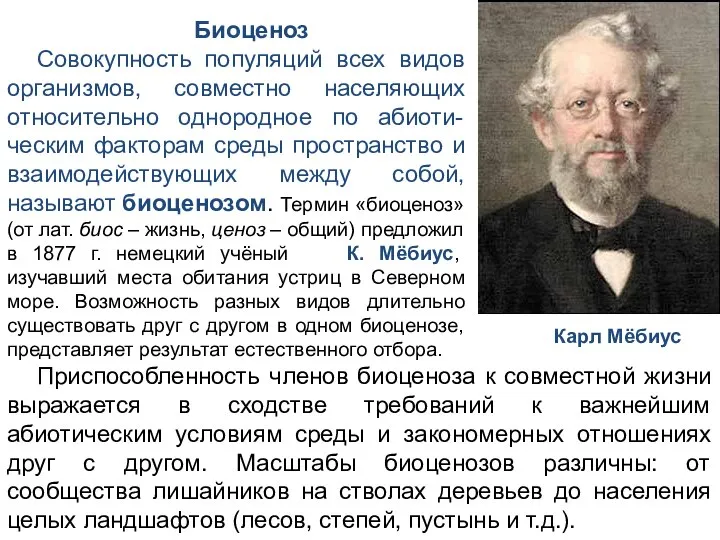 Биоценоз Совокупность популяций всех видов организмов, совместно населяющих относительно однородное по