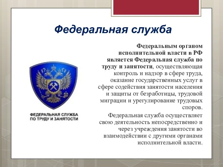 Федеральная служба Федеральным органом исполнительной власти в РФ является Федеральная служба