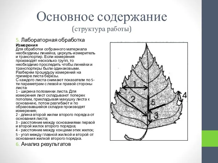 Основное содержание (структура работы) 5. Лабораторная обработка Измерения Для обработки собранного