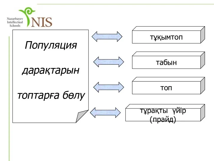 Популяция дарақтарын топтарға бөлу тұқымтоп табын топ тұрақты үйір (прайд)