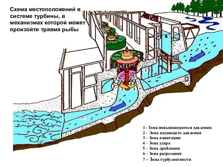 Схема местоположений в системе турбины, в механизмах которой может произойти травма